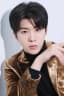Fan Chengcheng