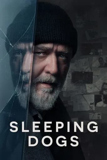 Sleeping Dogs (2024) poster