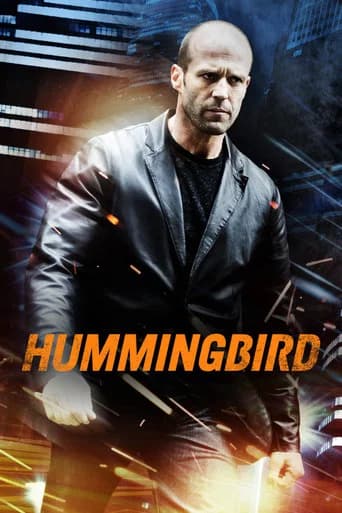 Hummingbird (2013) poster