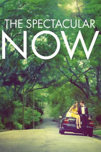 The Spectacular Now (2013) poster