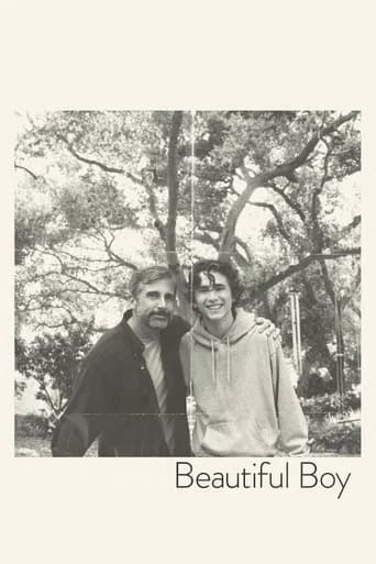 Beautiful Boy (2018) poster