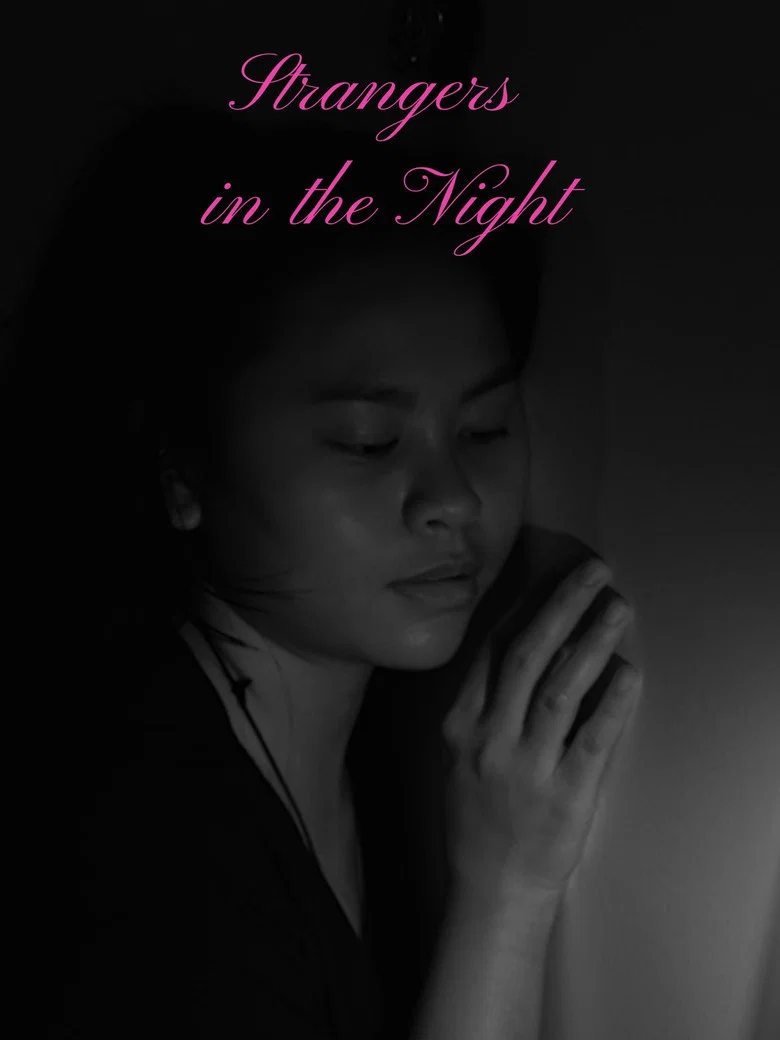 Strangers in the Night poster