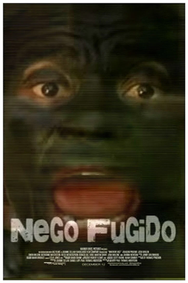 Nego Fugido poster