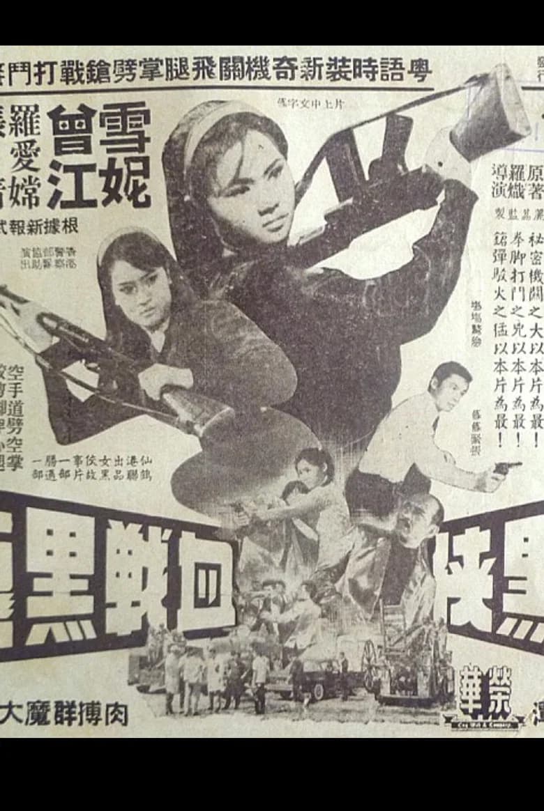 The Woman in Black and the Black Dragon poster