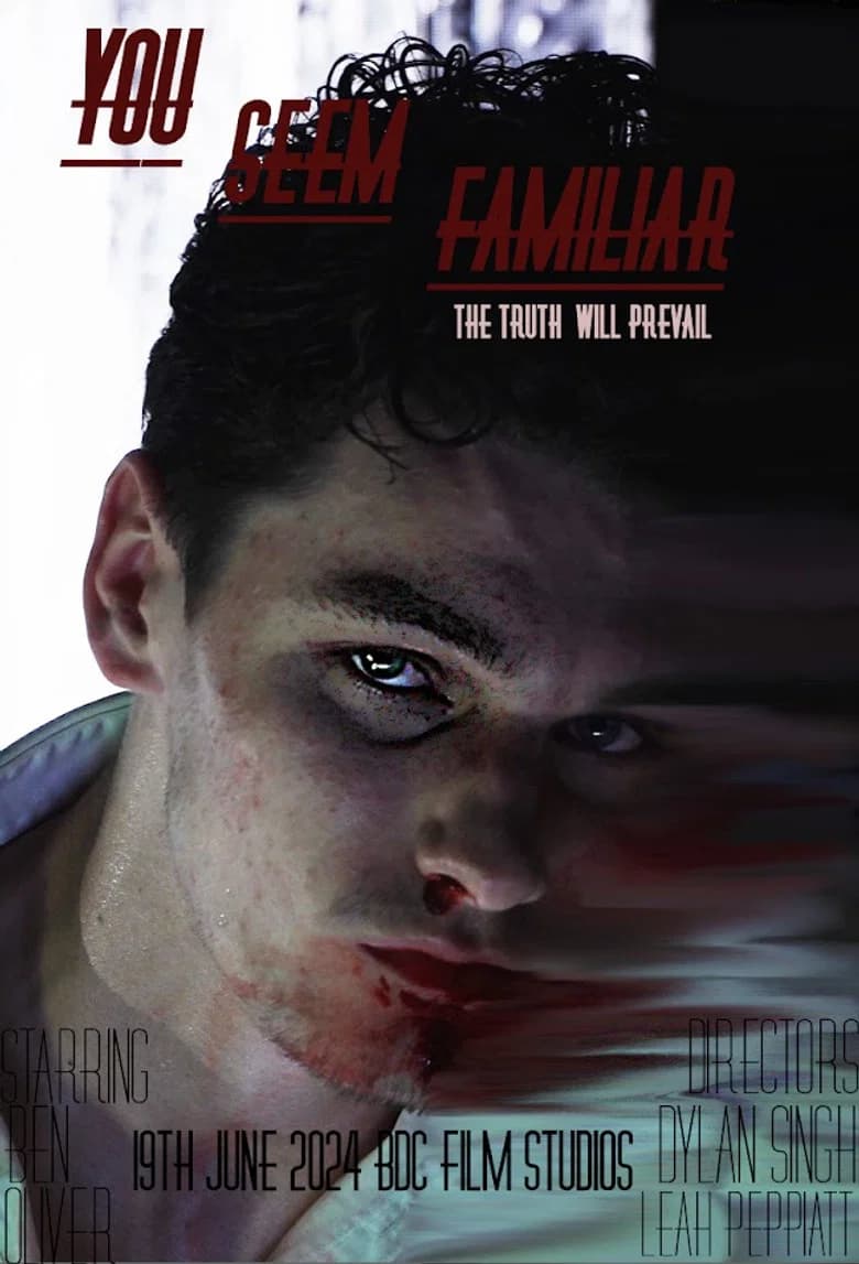 You Seem Familiar poster