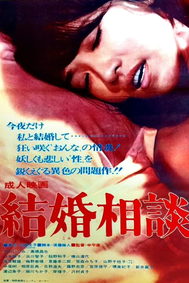 The Passionate Spinster poster