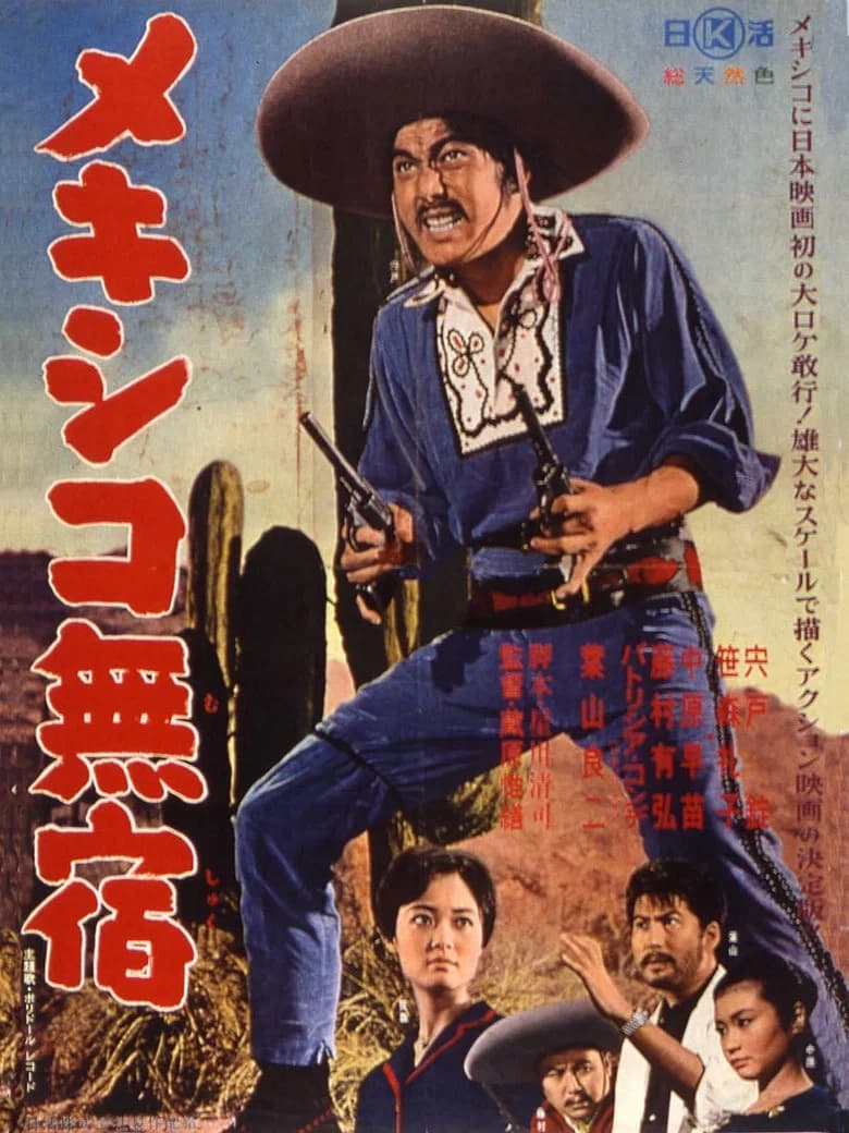 Mexico Drifter poster
