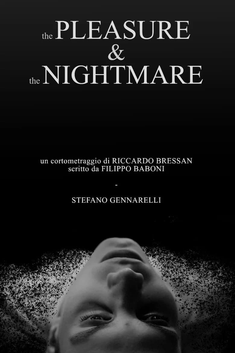 The pleasure & the nightmare poster