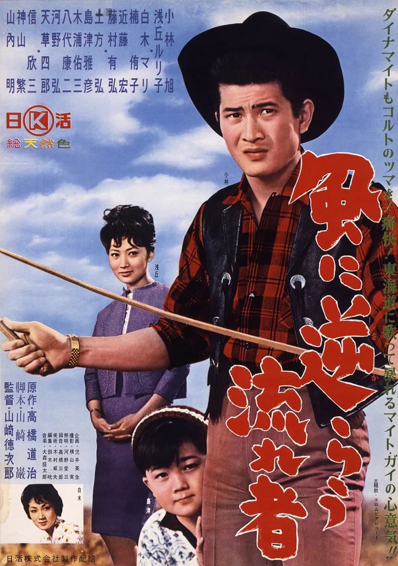 The Drifter Against the Wind poster