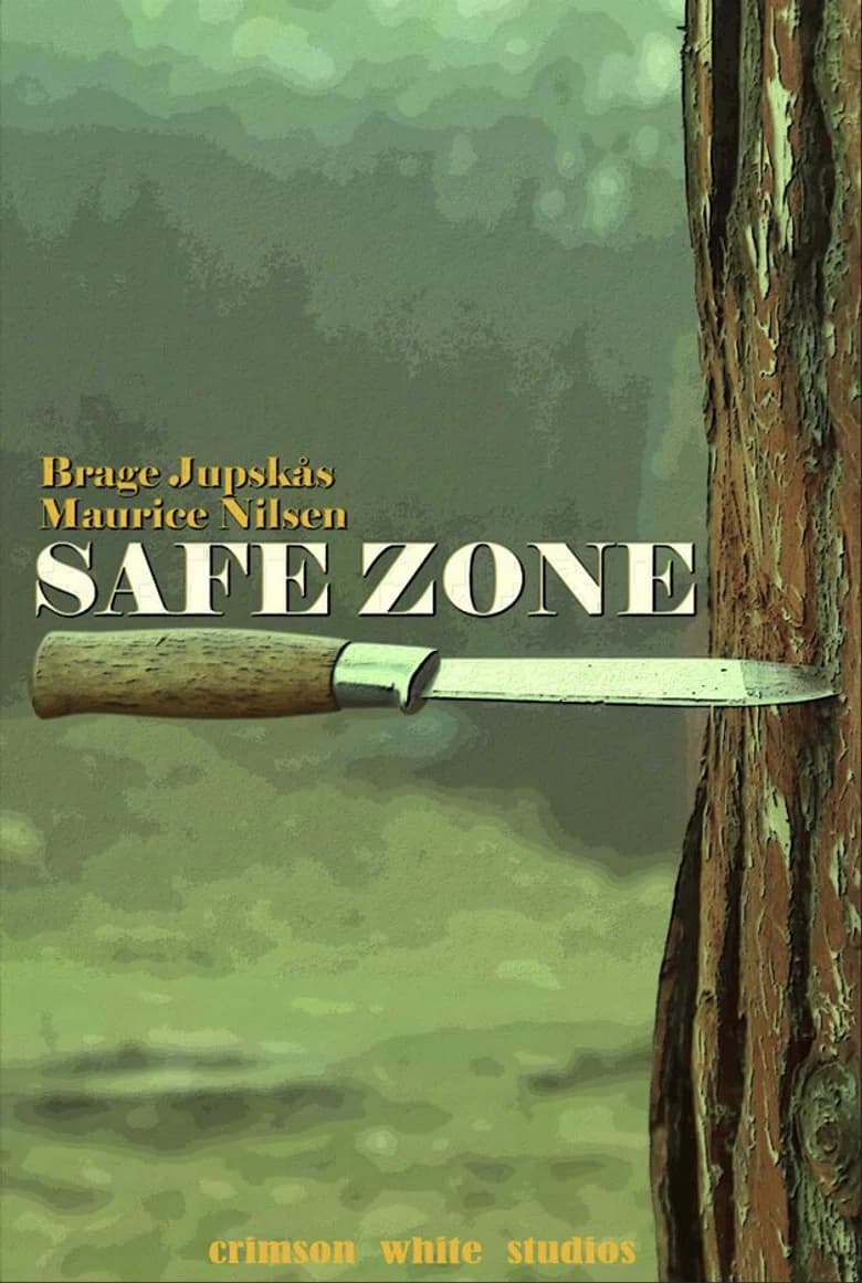 Safe Zone poster