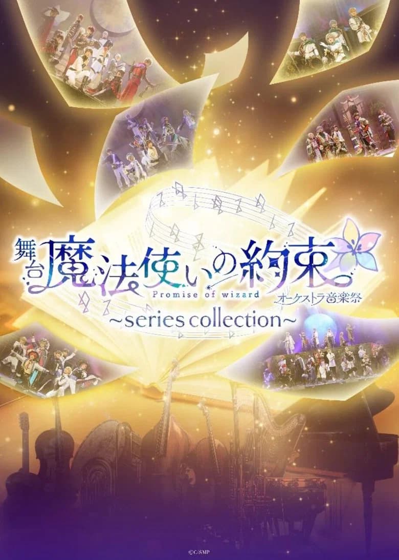 Promise of Wizard Orchestra Music Festival ~series collection~ poster