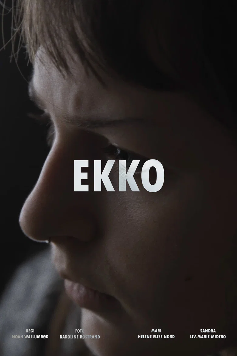 Echo poster
