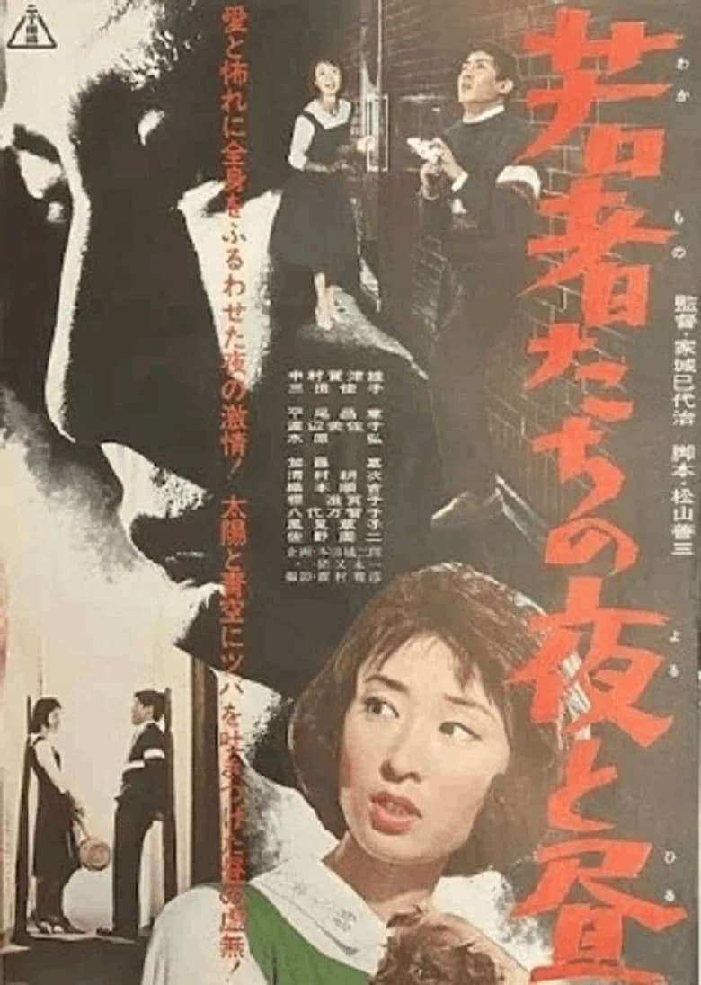 The Injured Boy poster