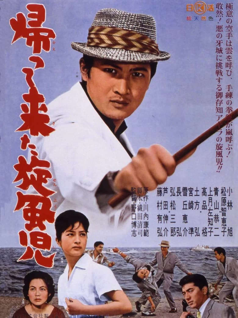 Return of the Whirlwind poster