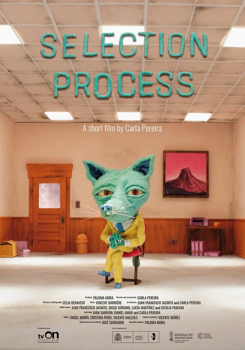 Selection Process poster