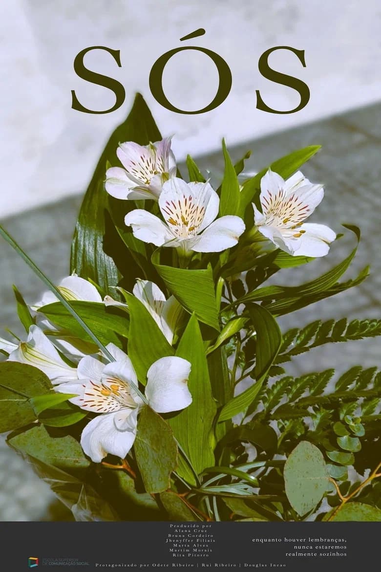 Sós poster